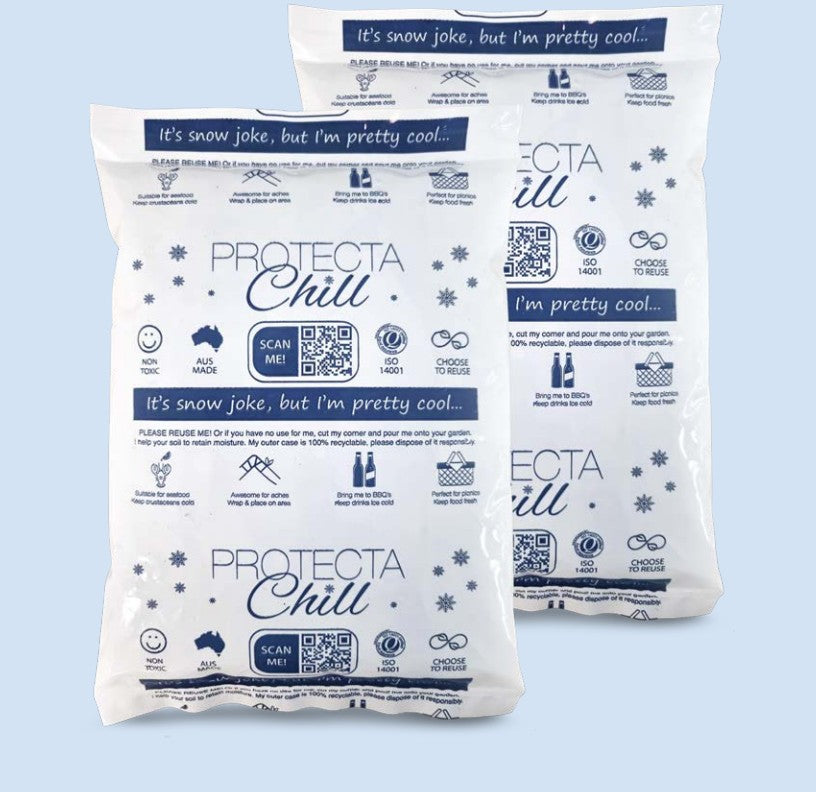 PROTECTA CHILL GEL ICE PACK 1KG-CARTON OF 14