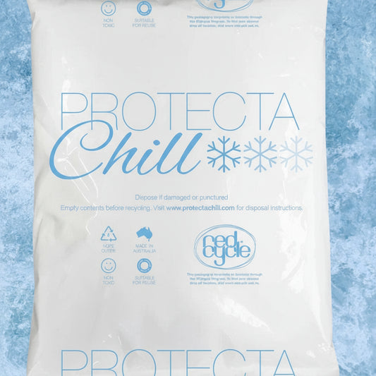 PROTECTA CHILL GEL ICE PACK 1KG-CARTON OF 14